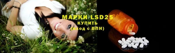 хмурый Алзамай