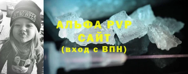 индика Абаза