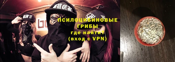 ГАЛЛЮЦИНОГЕННЫЕ ГРИБЫ Абдулино
