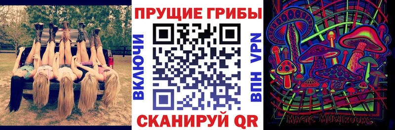 Псилоцибиновые грибы прущие грибы  где найти   Вологда 