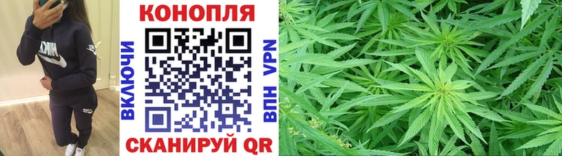 Марихуана план  Вологда 